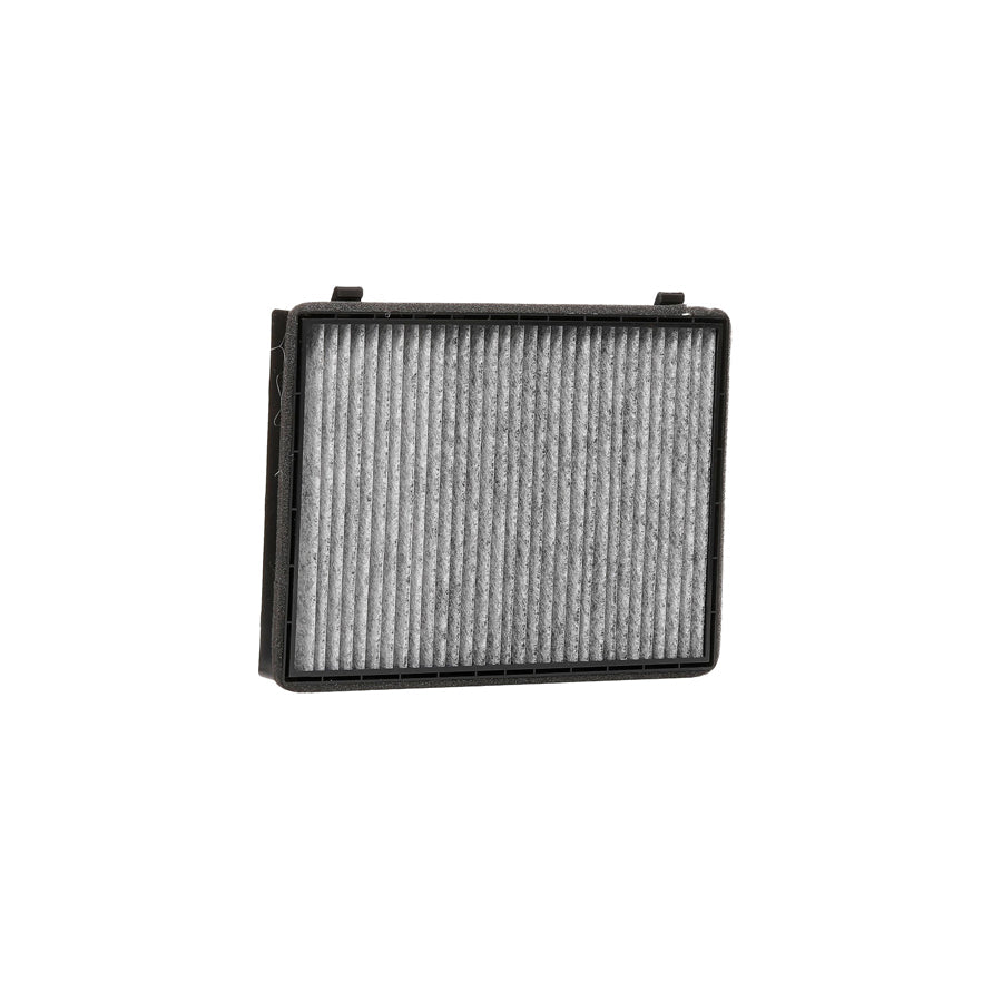 AUTOMEGA 180006710 Pollen Filter