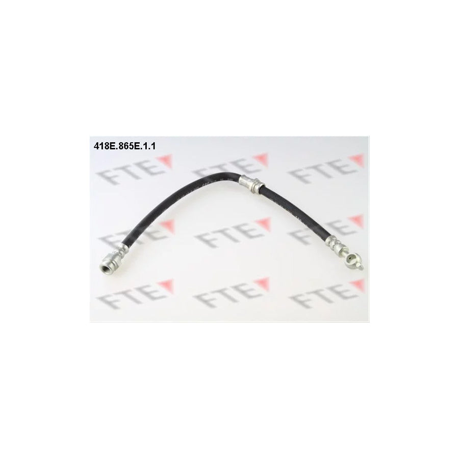 FTE 418E.865E.1.1 Brake Hose