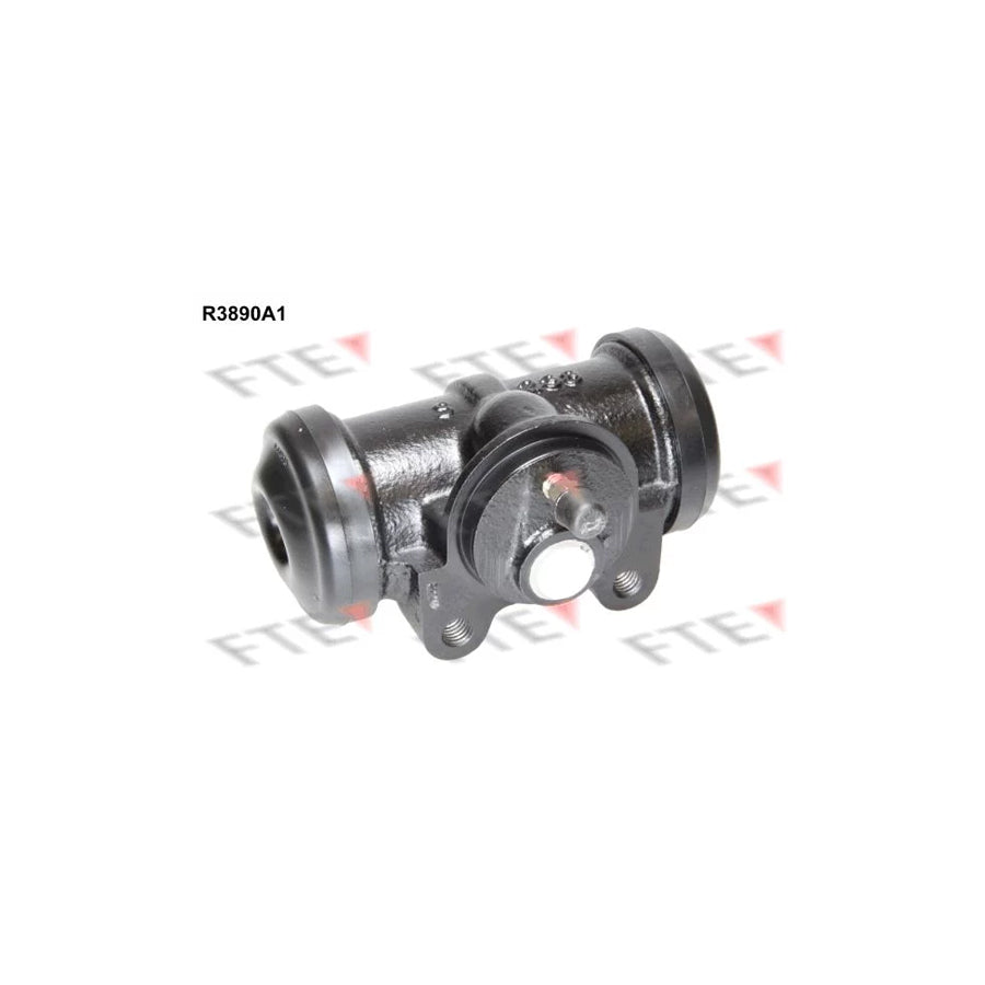 FTE R3890A1 Wheel Brake Cylinder