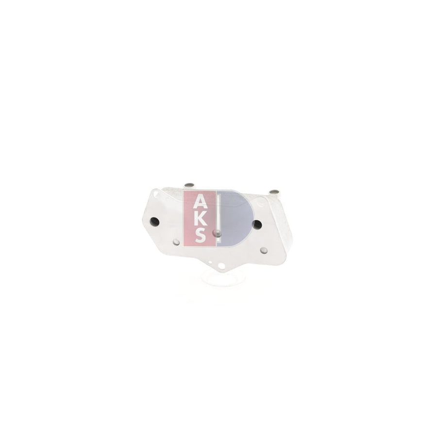 AKS Dasis 098030N Fan, Radiator