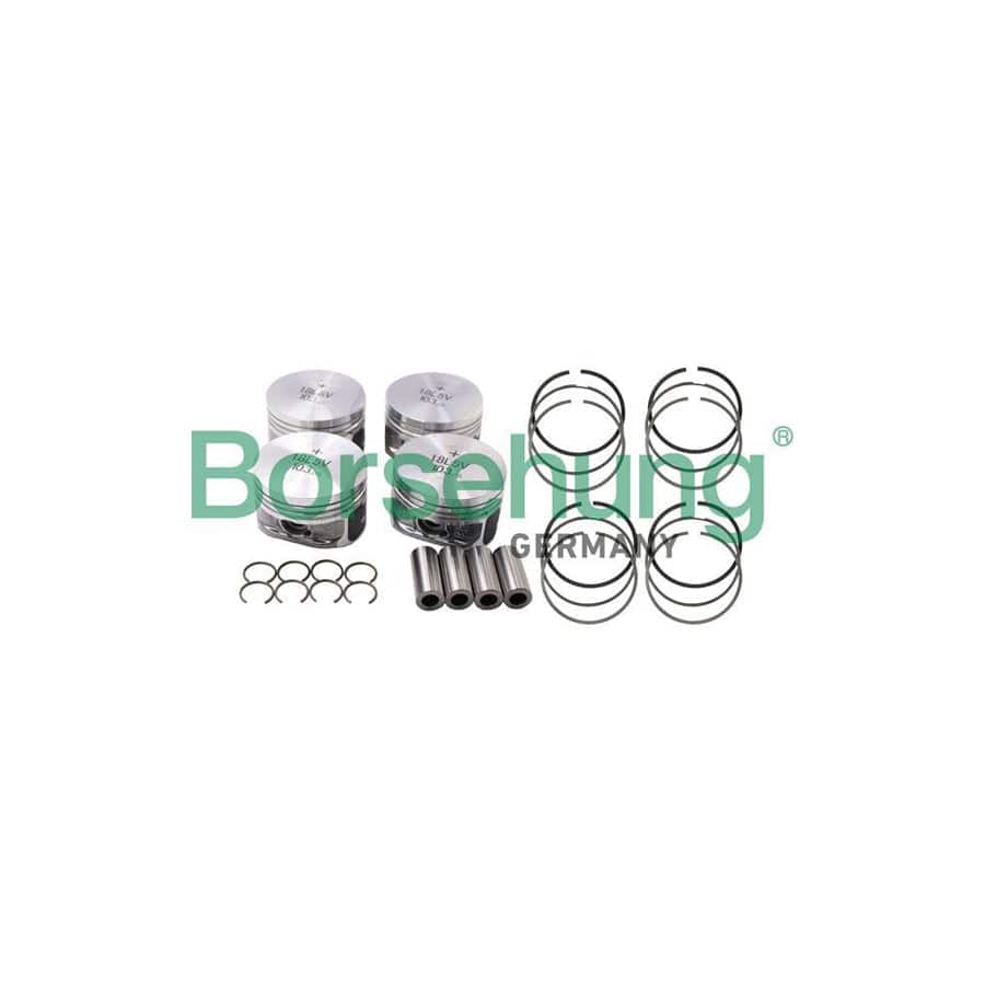 Borsehung B18669 Piston Ring Kit