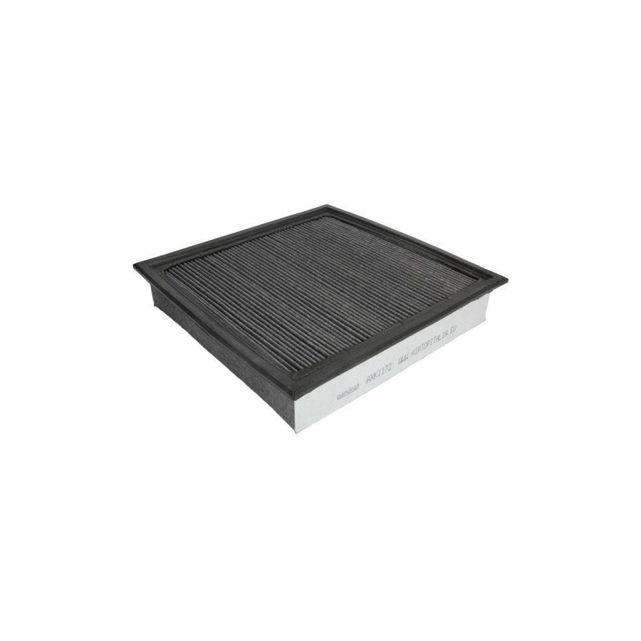 Boss Filters Bs02-553 Pollen Filter