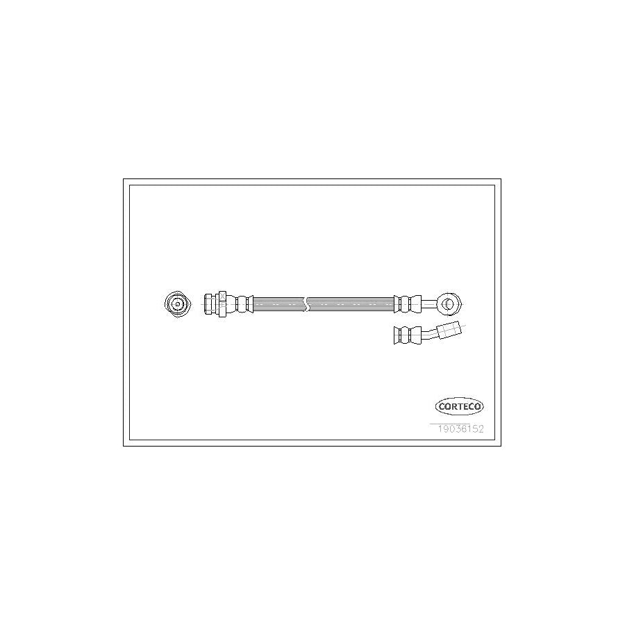 Corteco 19036152 Brake Hose
