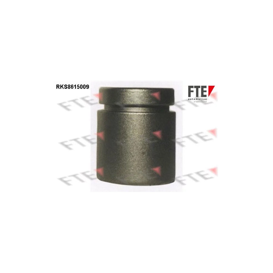 FTE 9313004 Piston, Brake Caliper