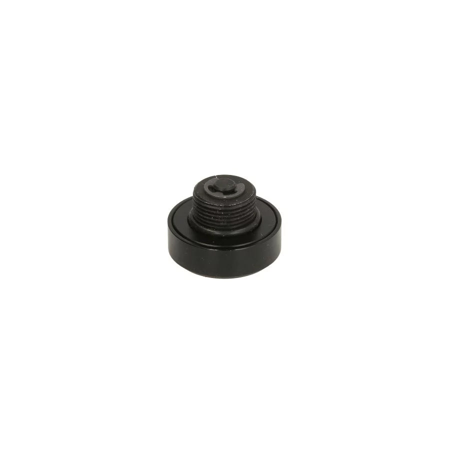 Cargoparts Cargo-Zp020 Fuel Drain Plug