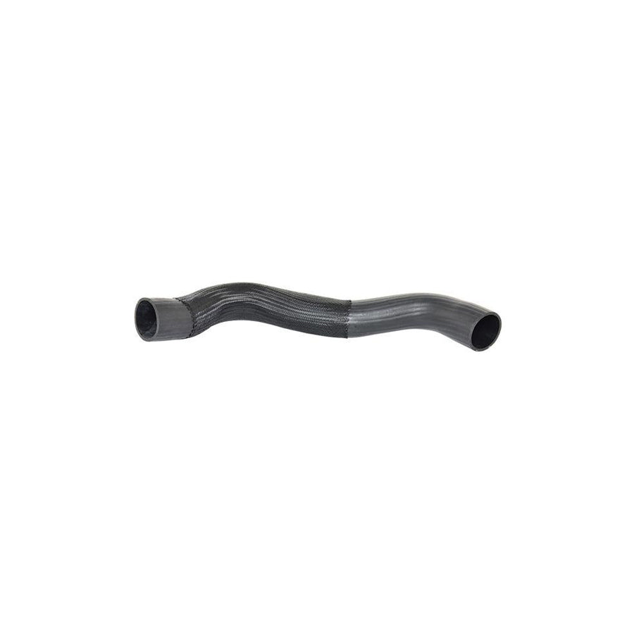 BUGIAD 88491 Charger Intake Hose for Fiat Ducato