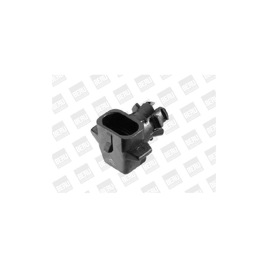 Beru St089 Ambient Temperature Sensor