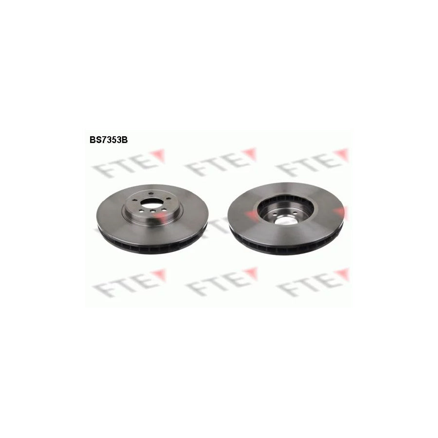 FTE 9081187 Brake Disc