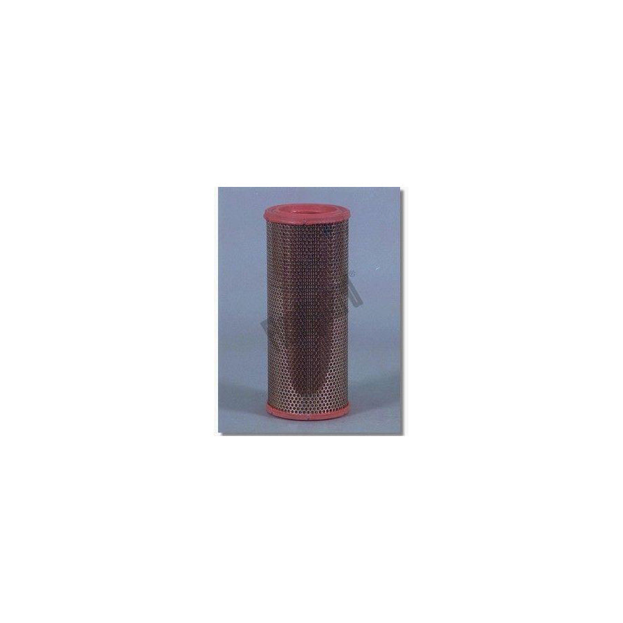 Fleetguard Af4910 Air Filter