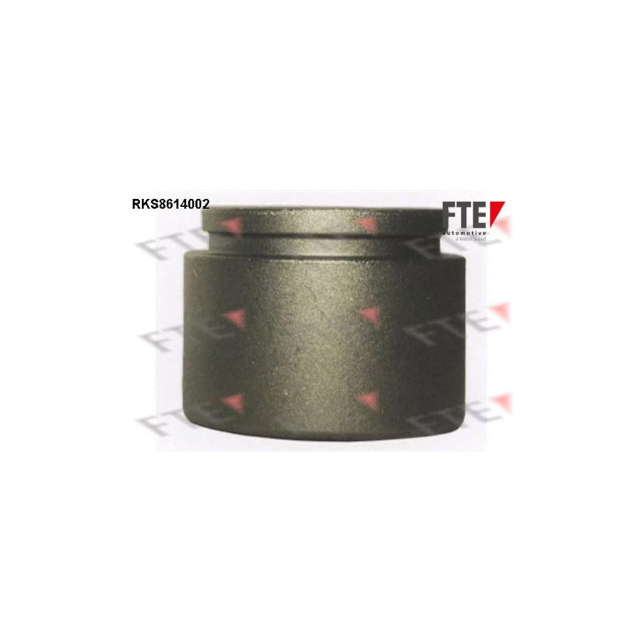 FTE 9313000 Piston, Brake Caliper