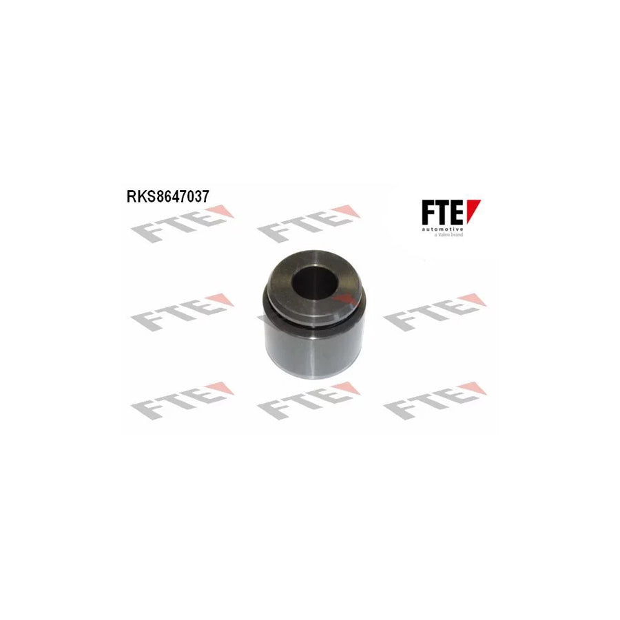 FTE 9310010 Piston, Brake Caliper