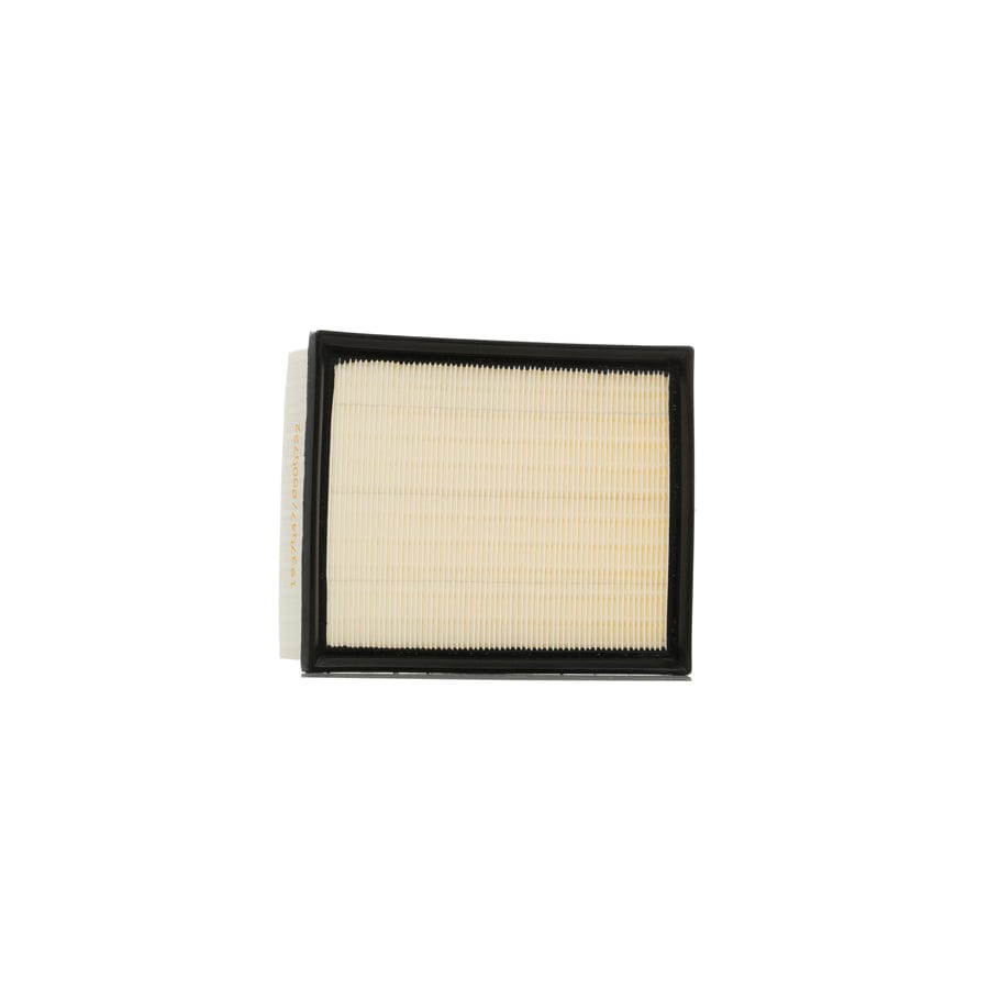 Ridex 8A0055 Air Filter