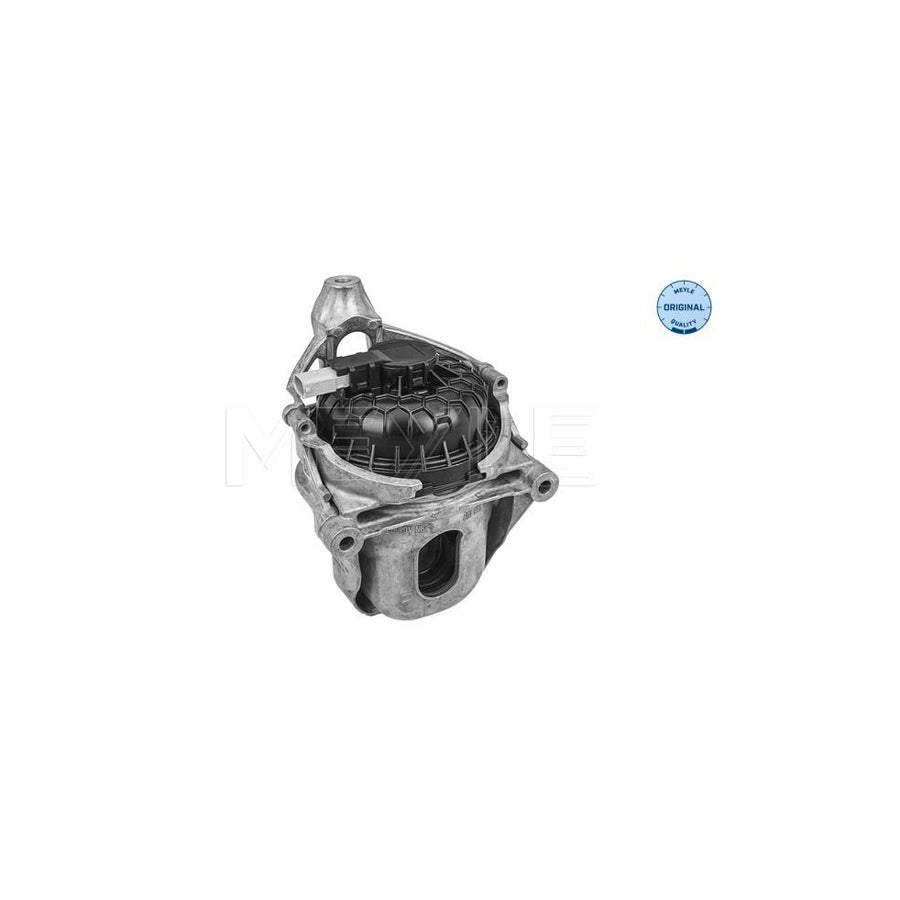 Meyle 100 199 1081 Engine Mount