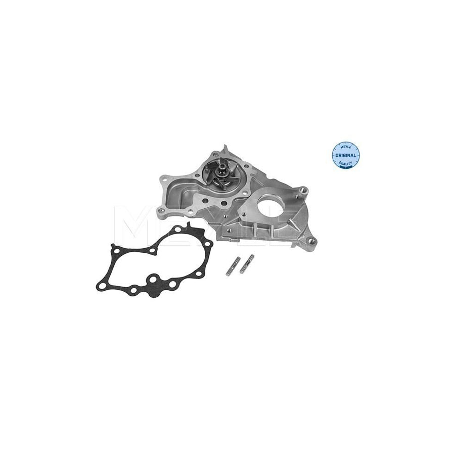 Meyle 30-13 220 0003 Water Pump