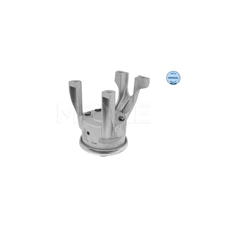 Meyle 100 199 1079 Engine Mount