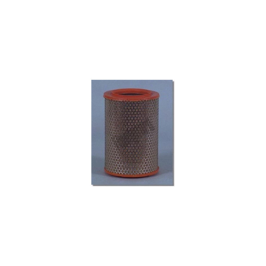 Fleetguard Af4907 Air Filter for Iveco Daily