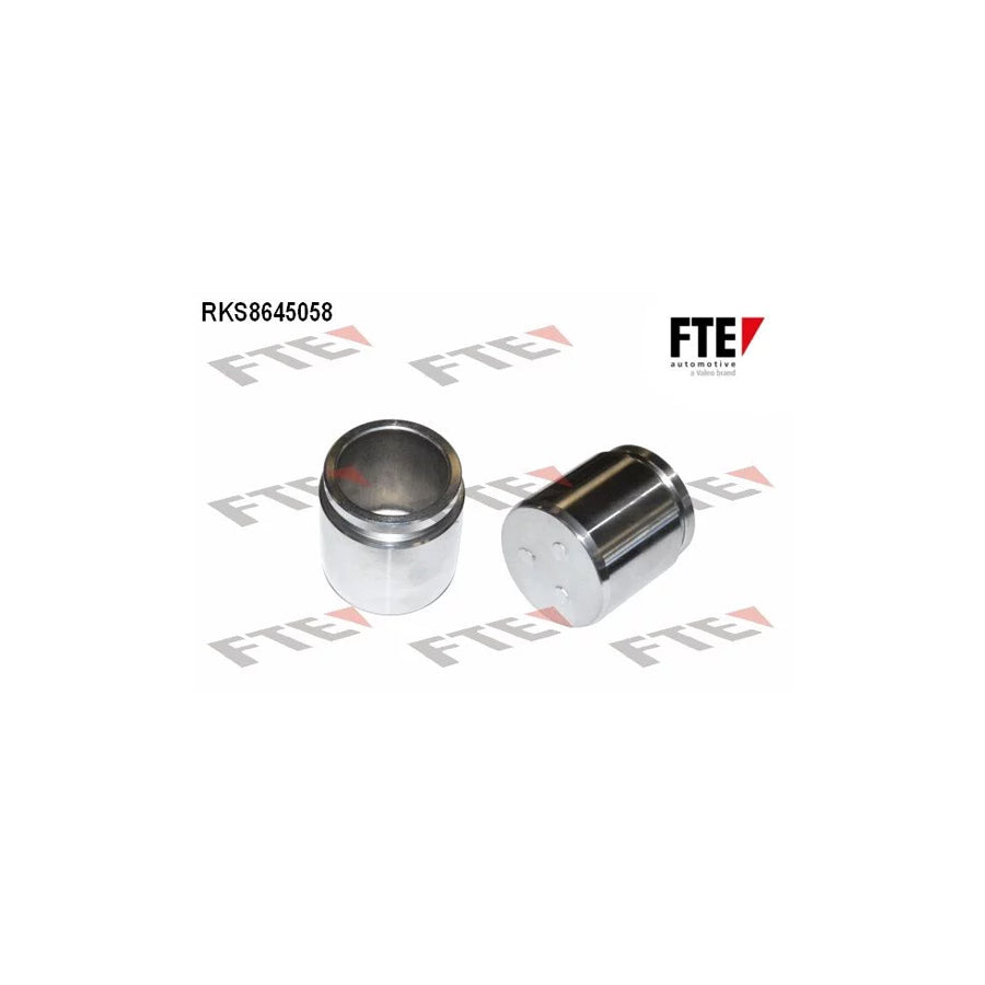 FTE 9310004 Piston, Brake Caliper