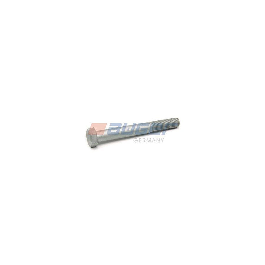 Auger 54802 Screw
