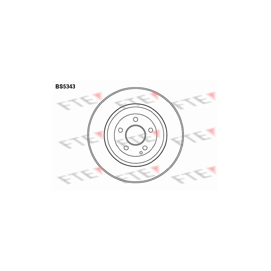 FTE Bs5343 Brake Disc Suitable for Mercedes-Benz S-Class