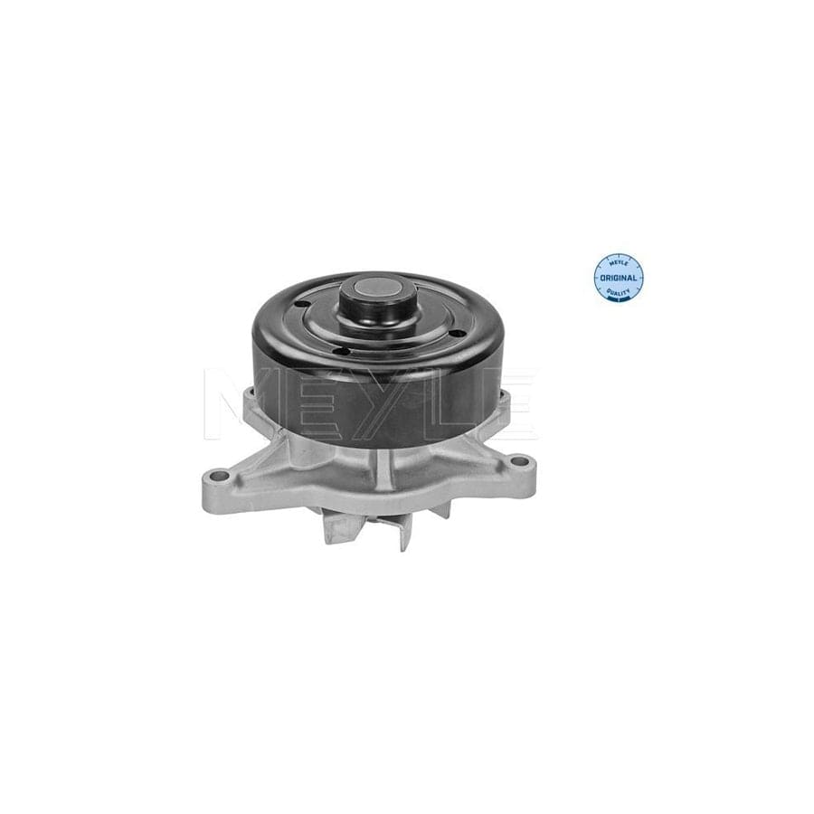 Meyle 30-13 220 0005 Water Pump