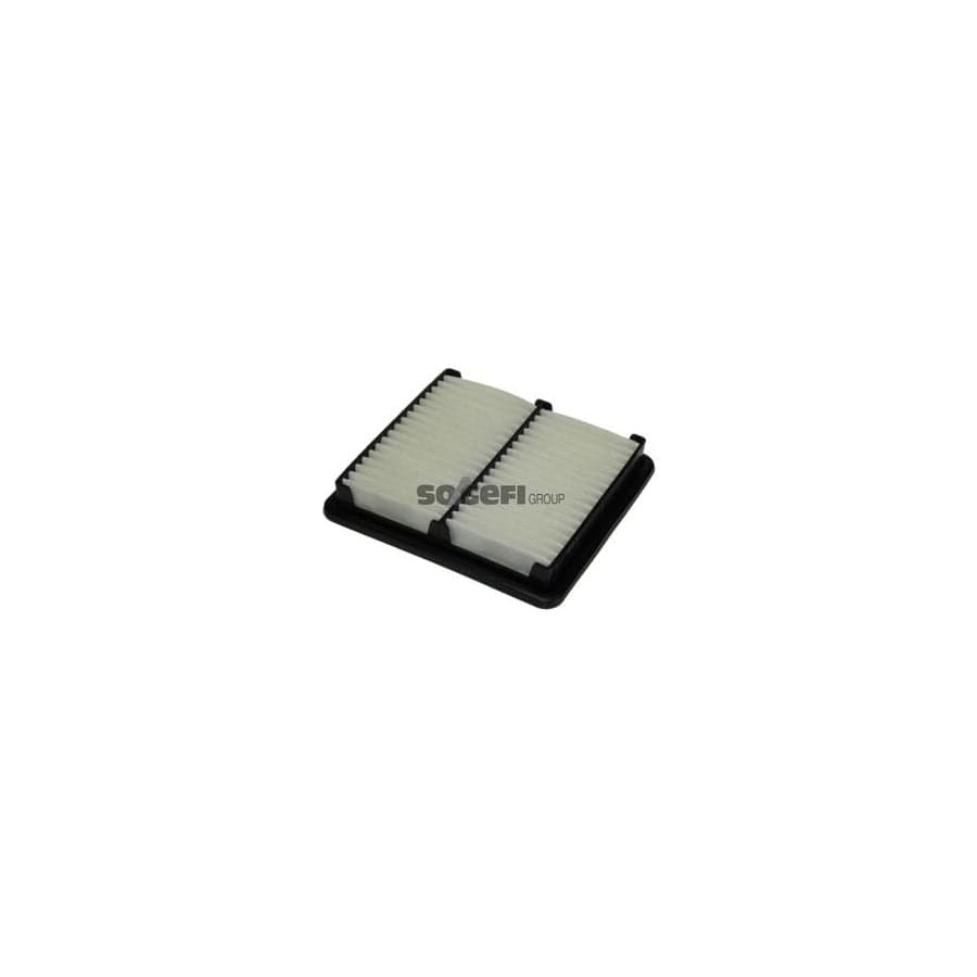 Purflux A1060 Air Filter