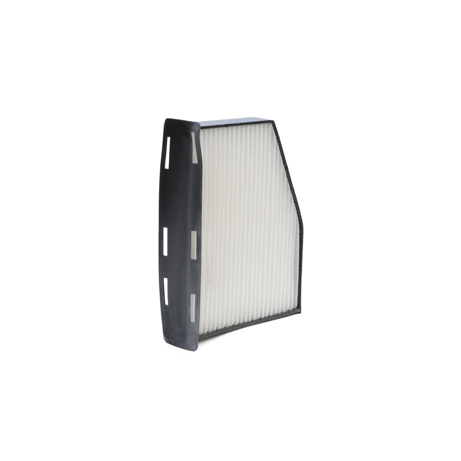 Valeo 698800 Pollen Filter | ML Performance US Car Parts