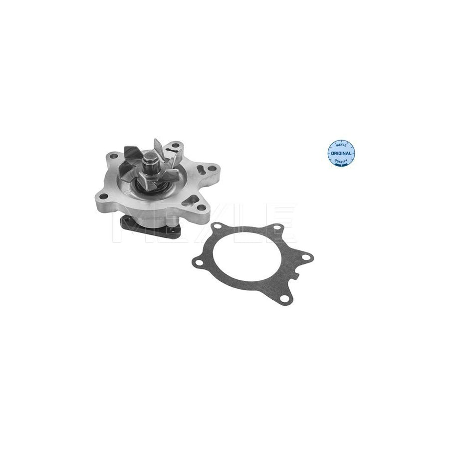 Meyle 30-13 220 0012 Water Pump