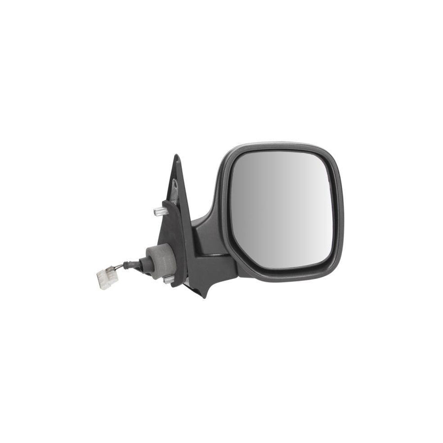 Blic 5402-04-9252972 Wing Mirror