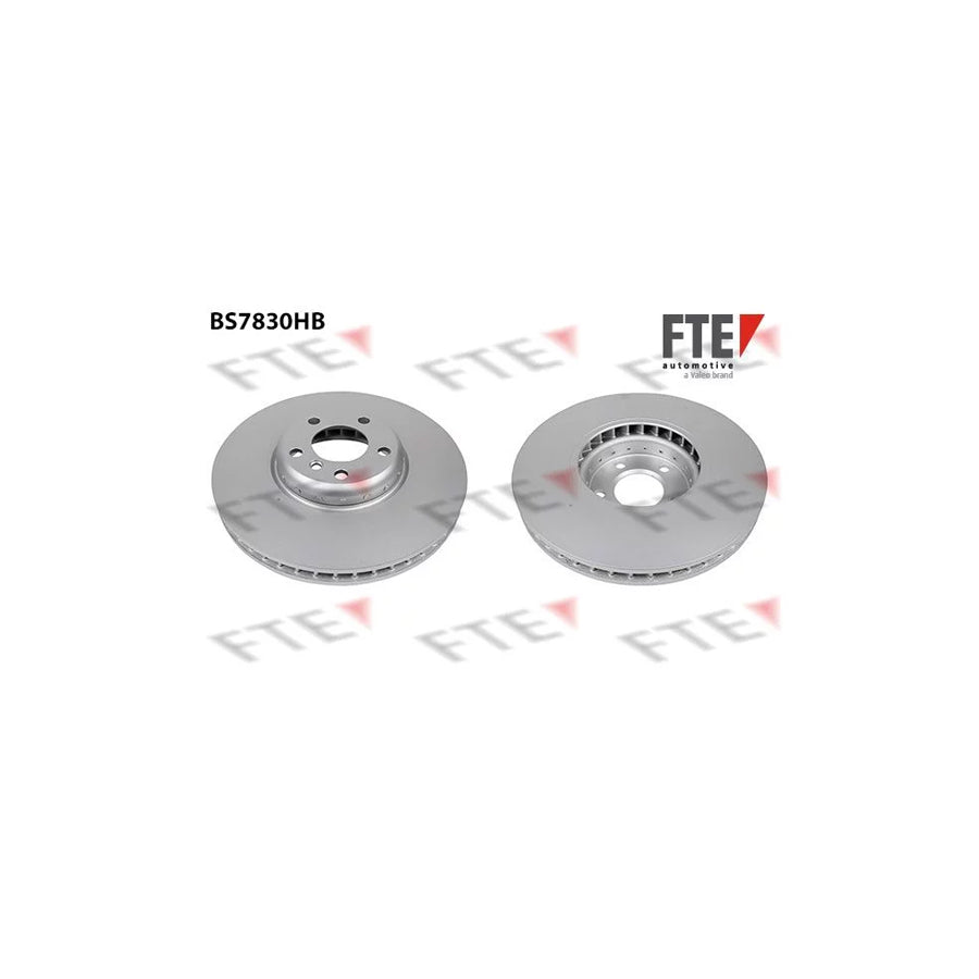 FTE 9081211 Brake Disc