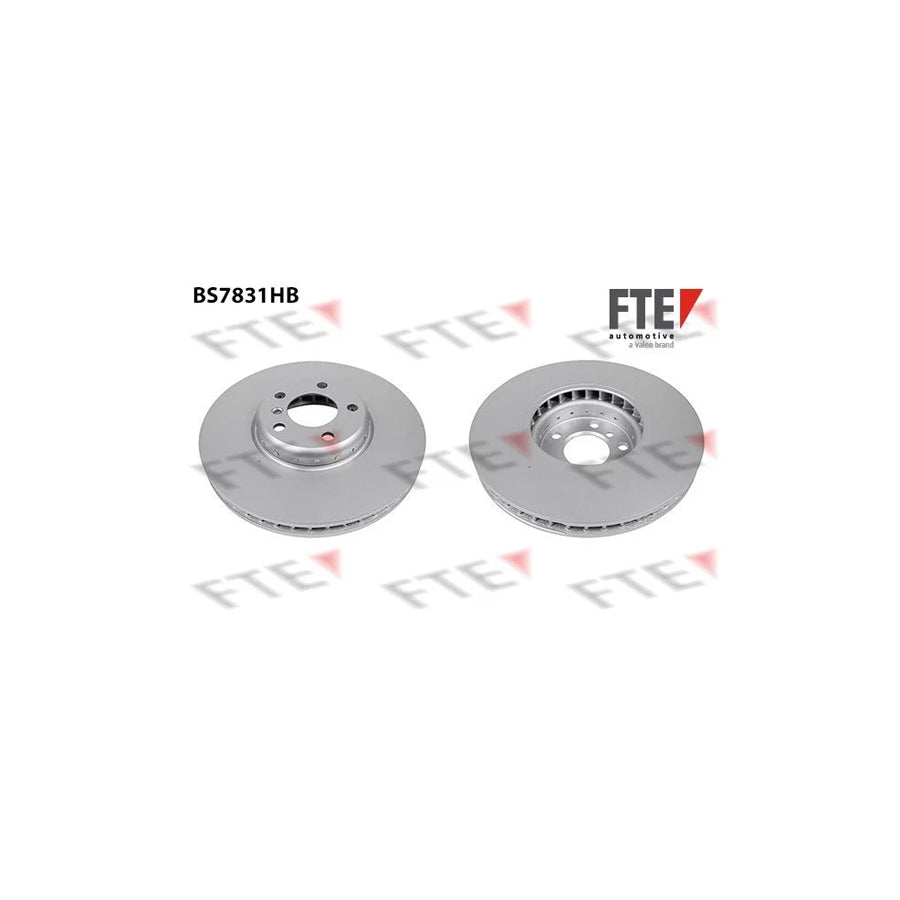 FTE 9081210 Brake Disc