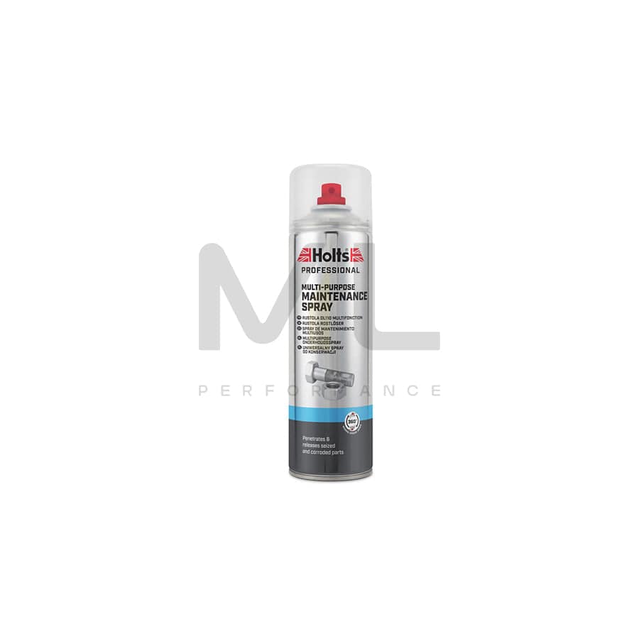 Holts 500ml Graphite Maintenance Spray