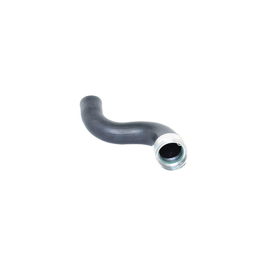 BUGIAD 88560 Charger Intake Hose