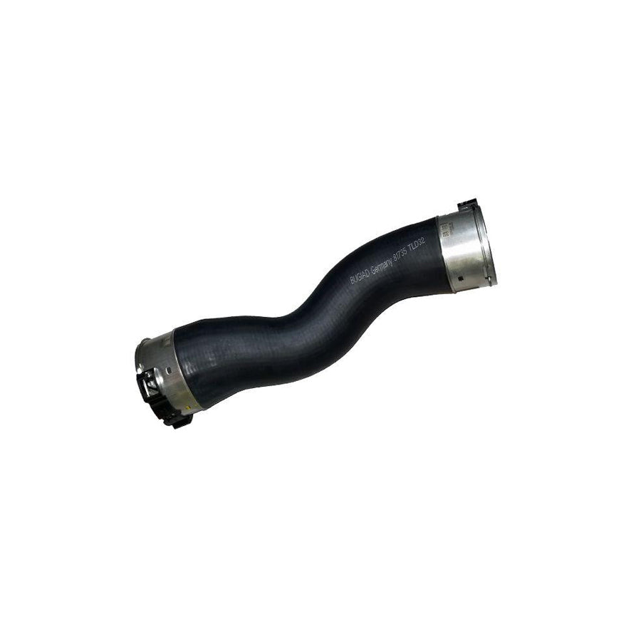 BUGIAD 81735 Charger Intake Hose for BMW 5 Series