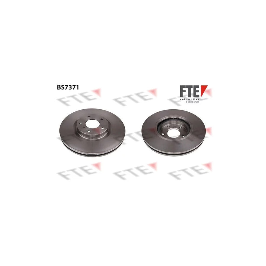 FTE 9071318 Brake Disc