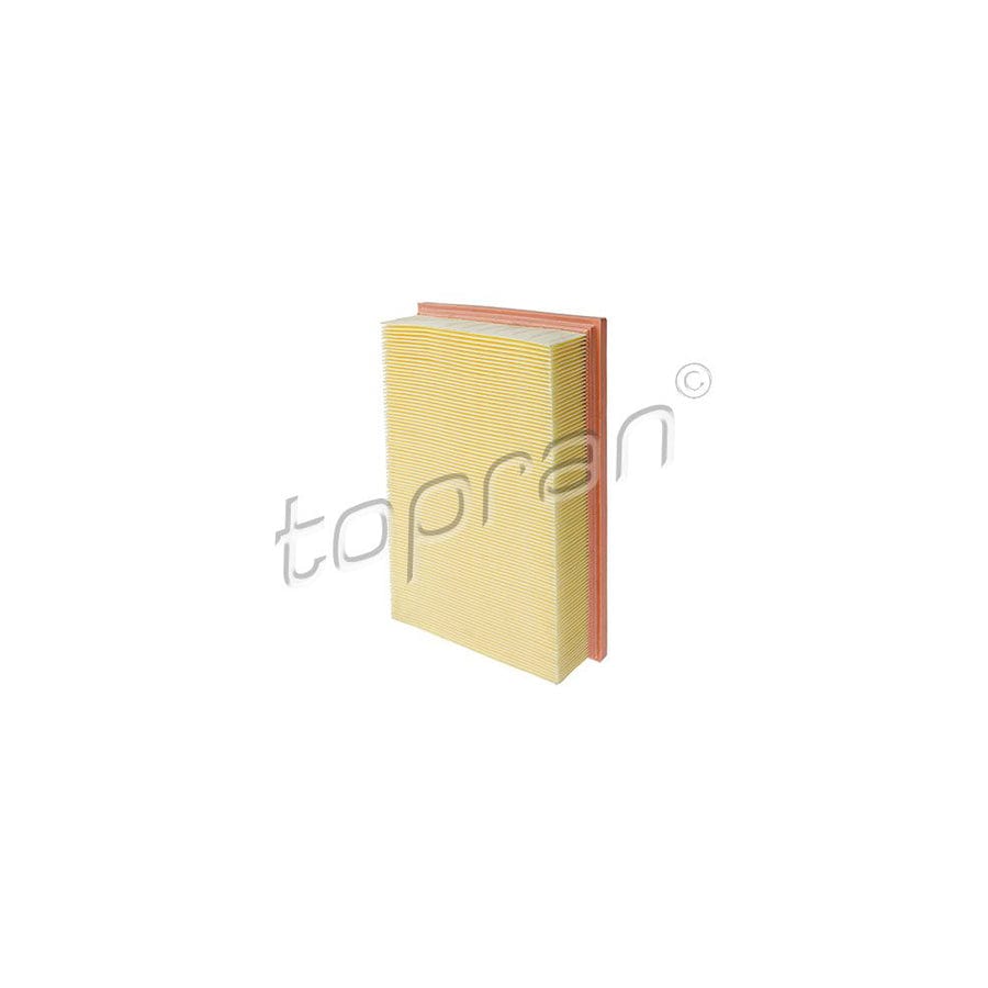 Topran 400 308 Air Filter