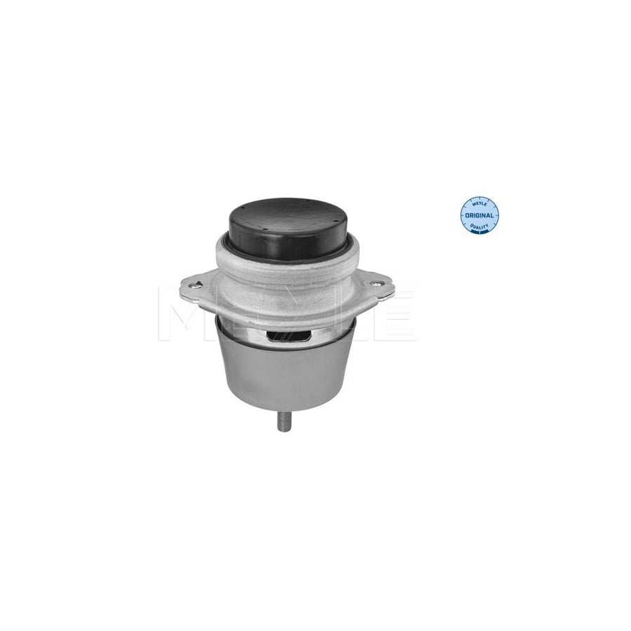 Meyle 100 199 1190 Engine Mount For VW Touareg Ii (7P5, 7P6)