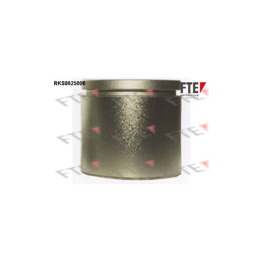FTE 9313017 Piston, Brake Caliper