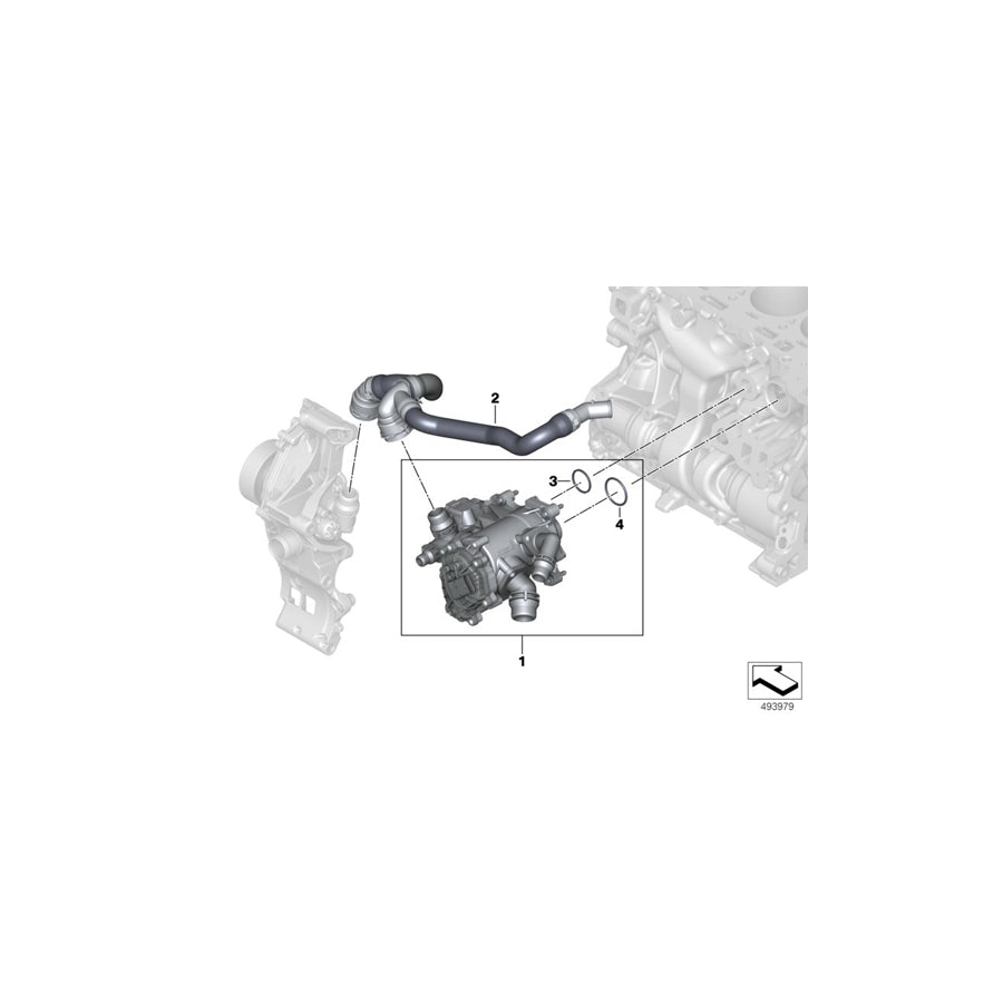 Genuine BMW 11518631942 F46 F40 Hose Heat Management Module Coolant pump heating return (Inc. Cooper, One & One First) | ML Performance US Car Parts