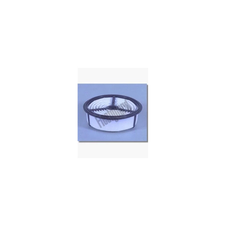Fleetguard Af4956 Air Filter for Toyota 4Runner (_N1_)