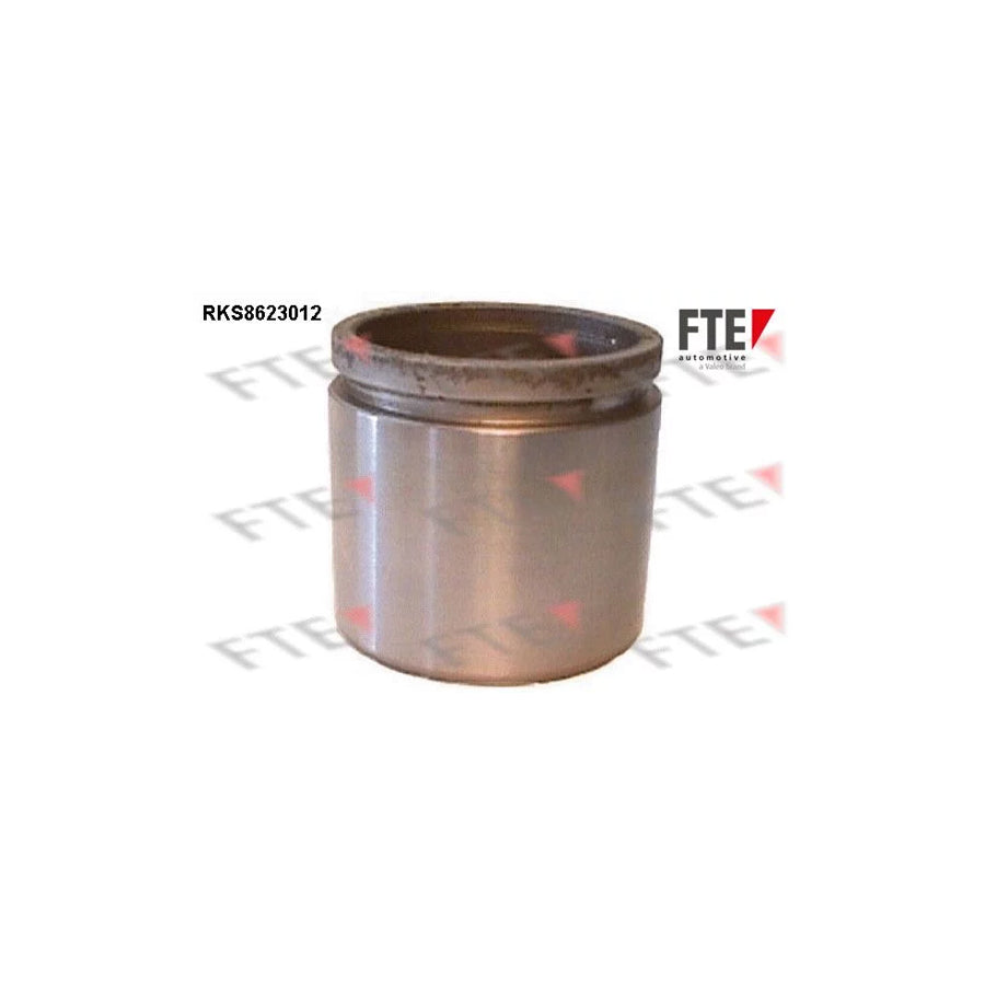 FTE 9313015 Piston, Brake Caliper