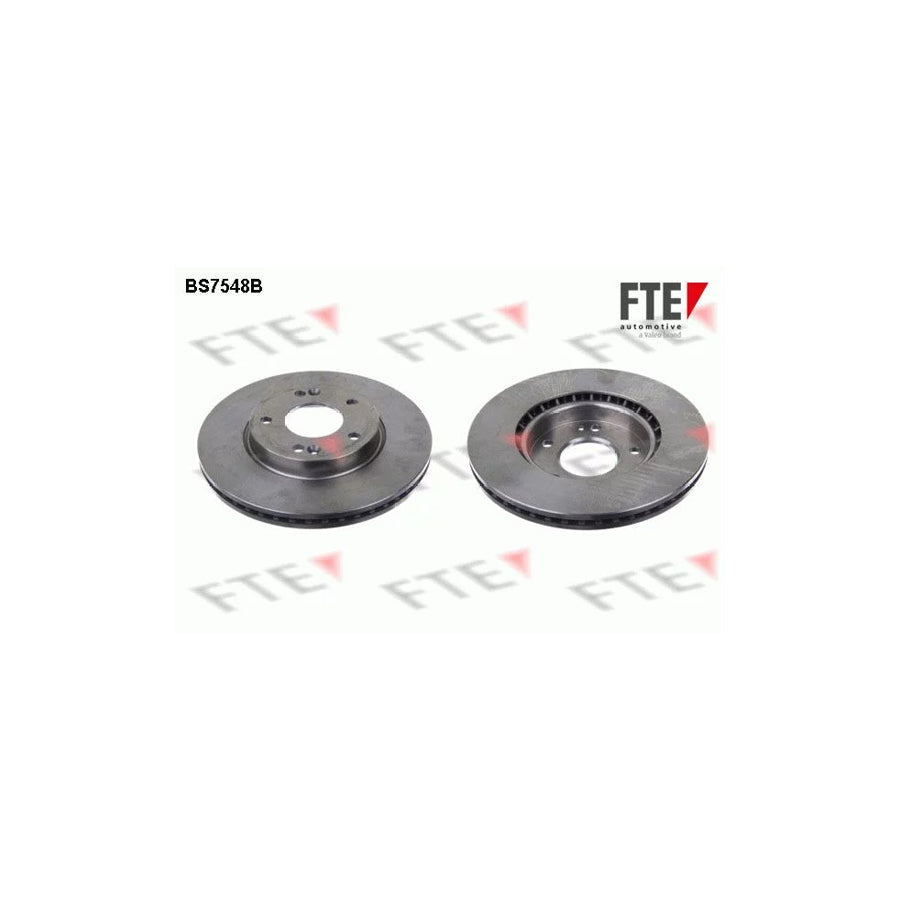 FTE Bs7548B Brake Disc