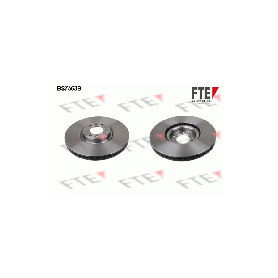 FTE Bs7563B Brake Disc