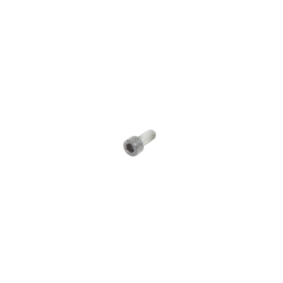 Genuine BMW 17111719057 E36 Fillister-Head Screw M6X16 (Inc. 525ix, 328i & 518i) | ML Performance US Car Parts