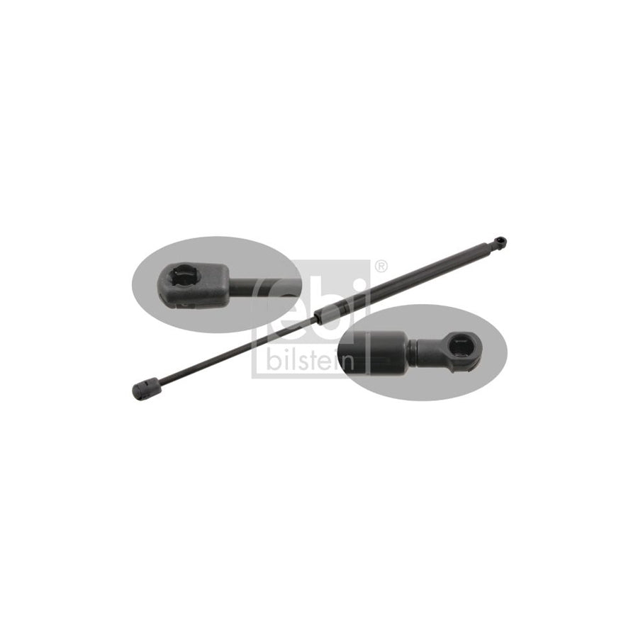Febi Bilstein 29284 Tailgate Strut