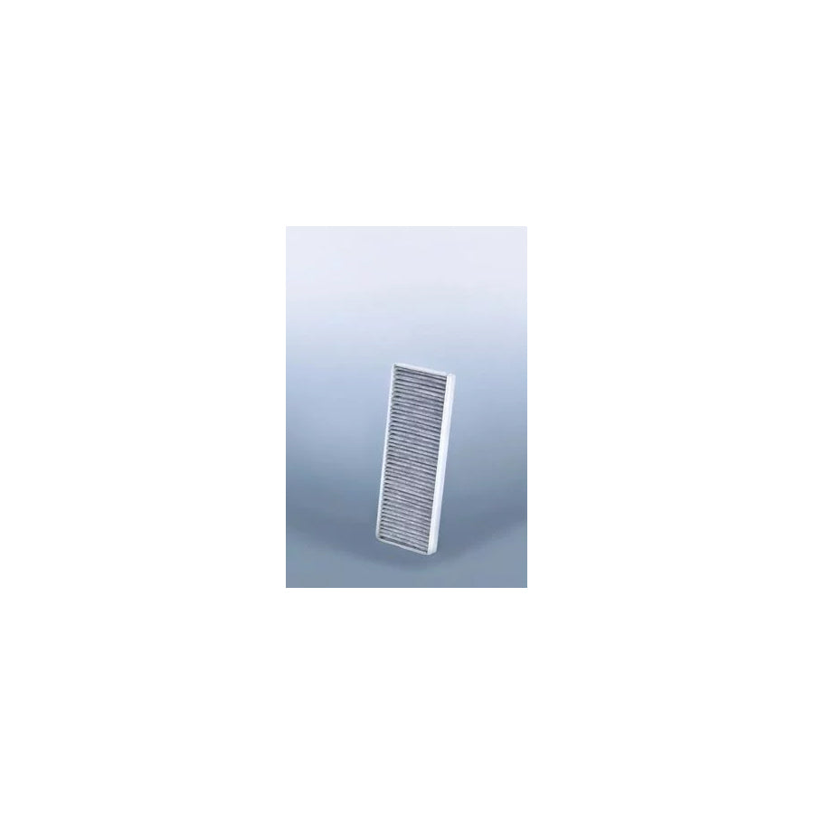 Fleetguard Af55702 Pollen Filter