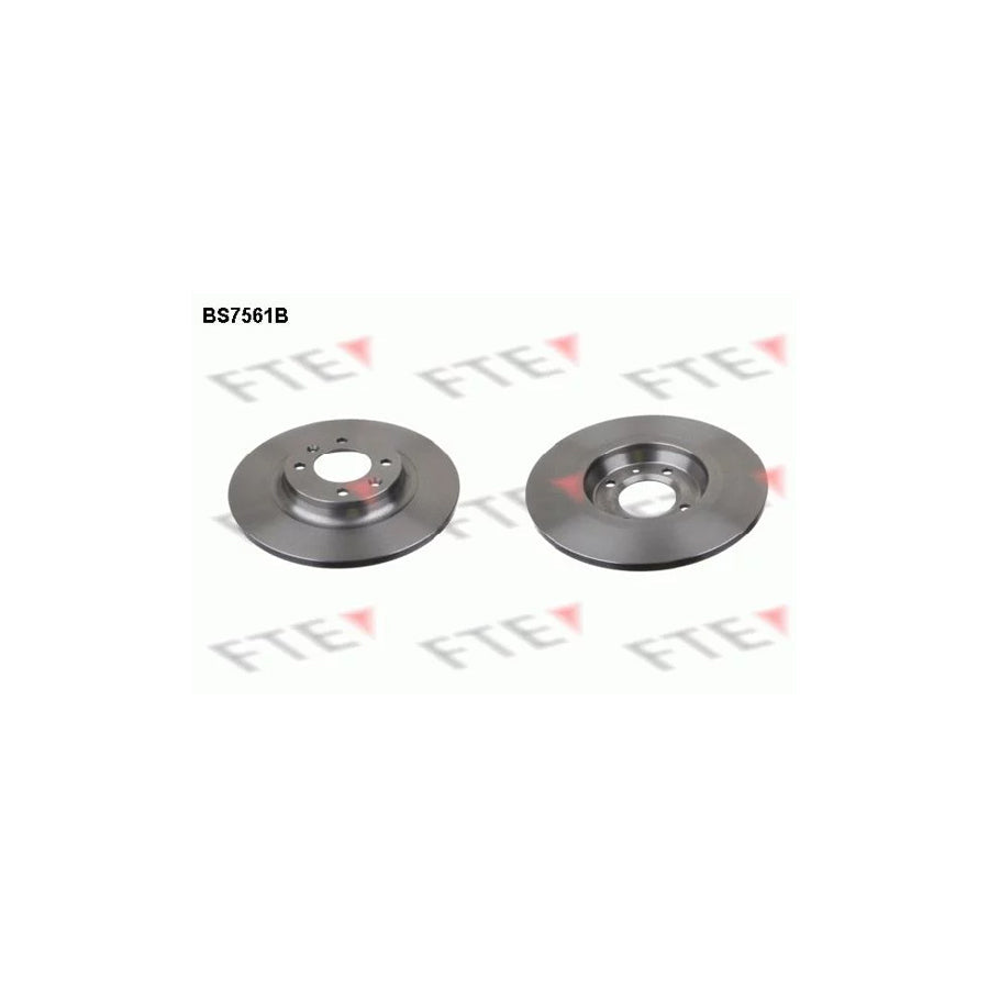 FTE Bs7561B Brake Disc