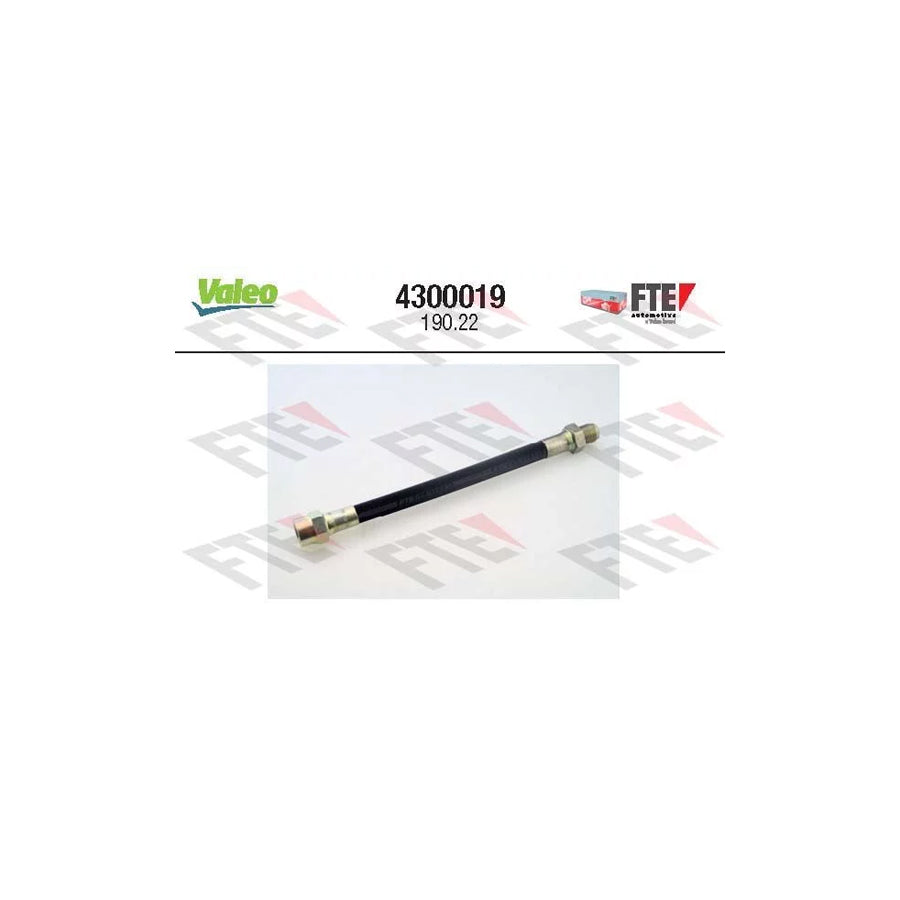 FTE 4300019 Clutch Hose