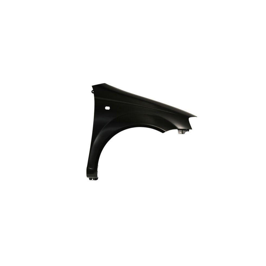 Blic 6504-04-1135316P Wing Fender