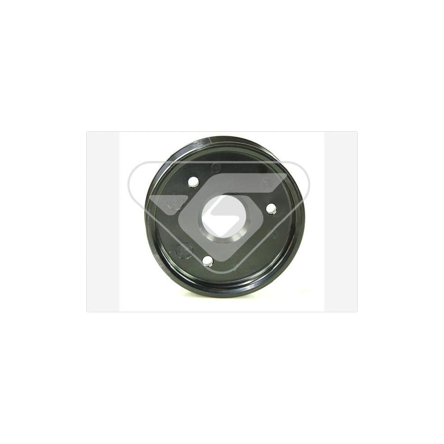 Hutchinson P2005 Pulley, Alternator