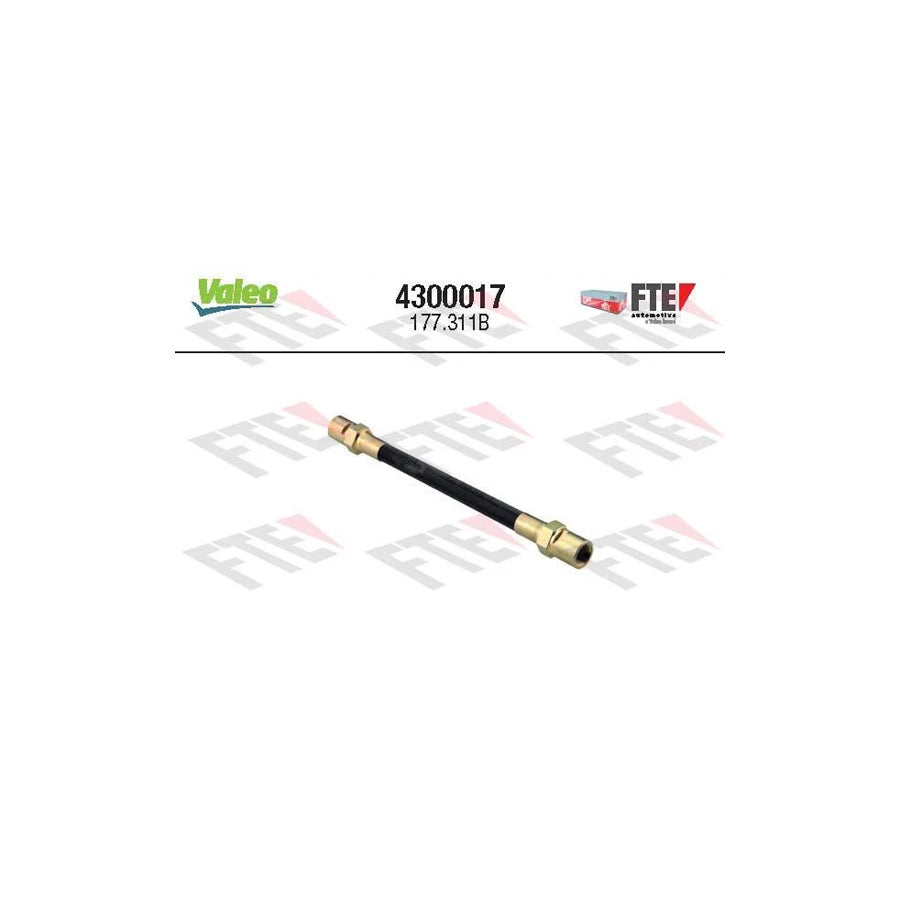 FTE 4300017 Clutch Hose